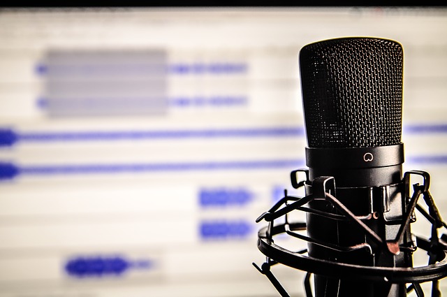 Professional microphone — Audio recording